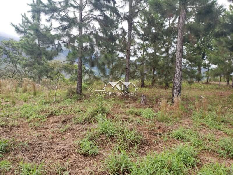 Terreno Residencial à venda em Itaipava, Petrópolis - RJ - Foto 47