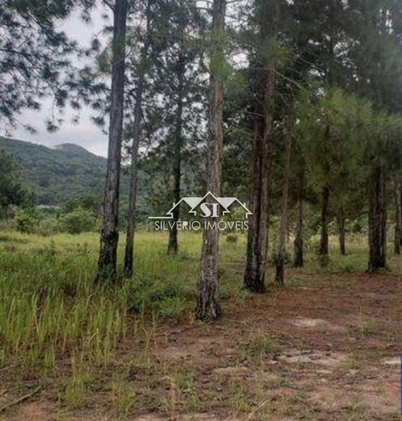 Terreno à venda, 1690000m² - Foto 52