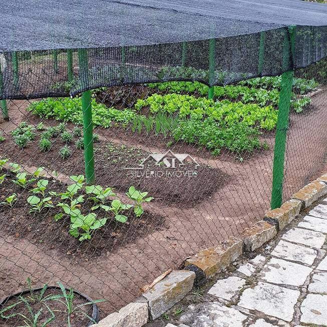 Casa à venda com 6 quartos, 700m² - Foto 40