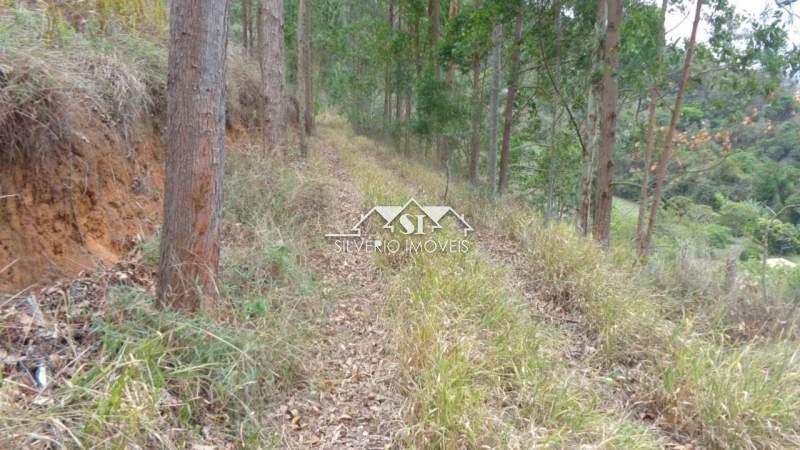 Terreno Residencial à venda em Nogueira, Petrópolis - RJ - Foto 17