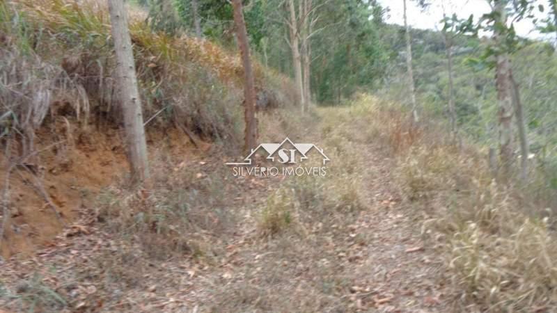 Terreno Residencial à venda em Nogueira, Petrópolis - RJ - Foto 13