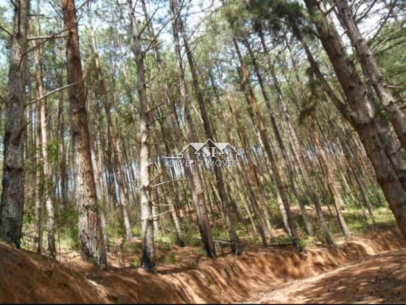 Terreno em Araras - Petrópolis/RJ 