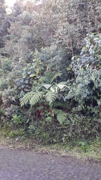 Terreno à venda, 6300m² - Foto 3
