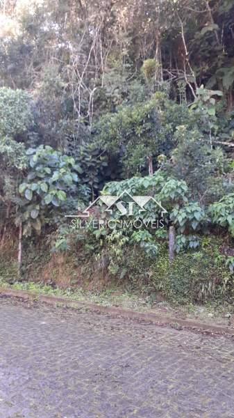 Terreno à venda, 6300m² - Foto 5