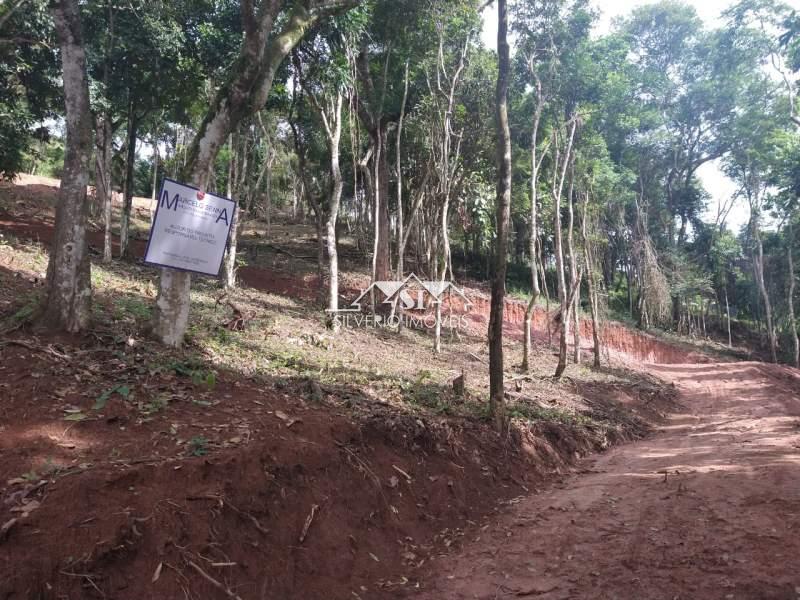 Terreno à venda, 4000m² - Foto 5
