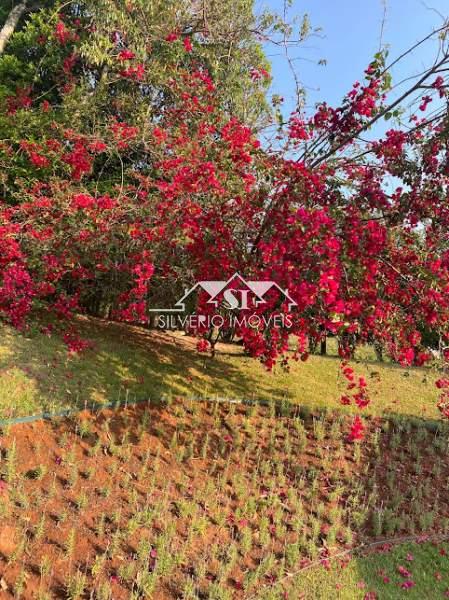 Chácara, 12 quartos, 2 hectares - Foto 34