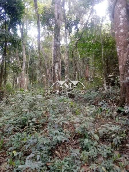 Terreno Residencial à venda em Araras, Petrópolis - RJ - Foto 4