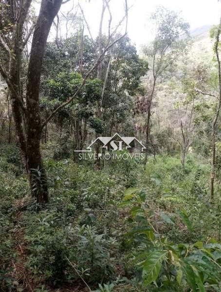 Terreno Residencial à venda em Araras, Petrópolis - RJ - Foto 5