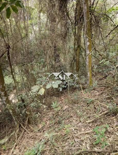 Terreno Residencial à venda em Araras, Petrópolis - RJ - Foto 6