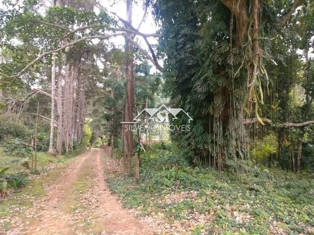 Sítio à venda com 6 quartos, 215866m² - Foto 2