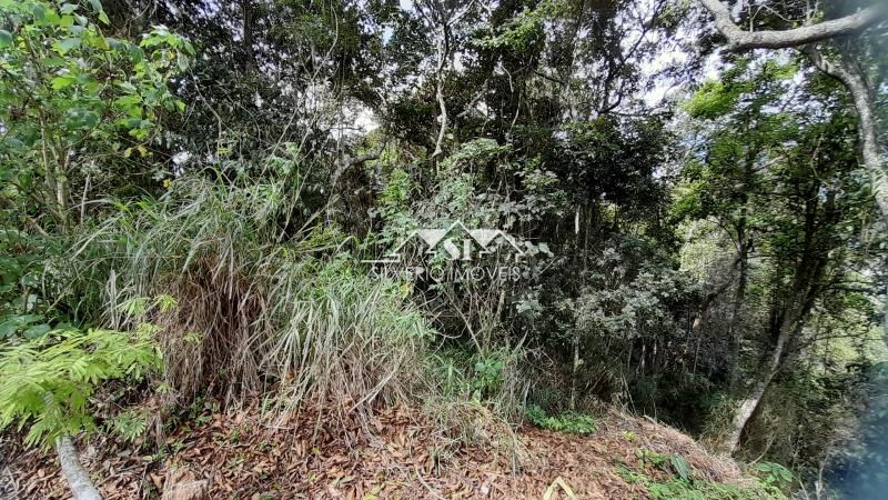Terreno à venda, 2016m² - Foto 11