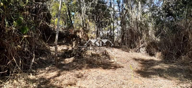 Terreno Residencial à venda em Itaipava, Petrópolis - RJ - Foto 7