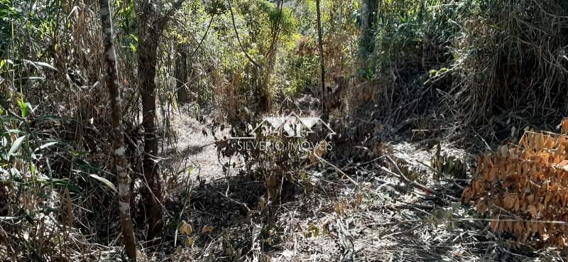 Terreno Residencial à venda em Itaipava, Petrópolis - RJ - Foto 8