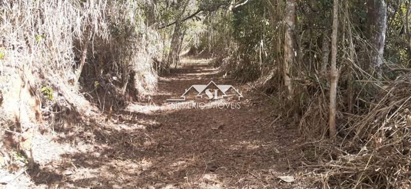 Terreno Residencial à venda em Itaipava, Petrópolis - RJ - Foto 9