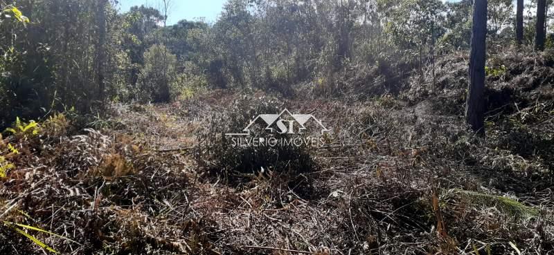 Terreno Residencial à venda em Itaipava, Petrópolis - RJ - Foto 11