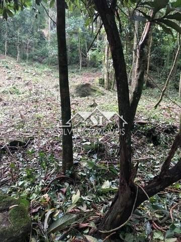 Terreno Residencial à venda em Itaipava, Petrópolis - RJ - Foto 5