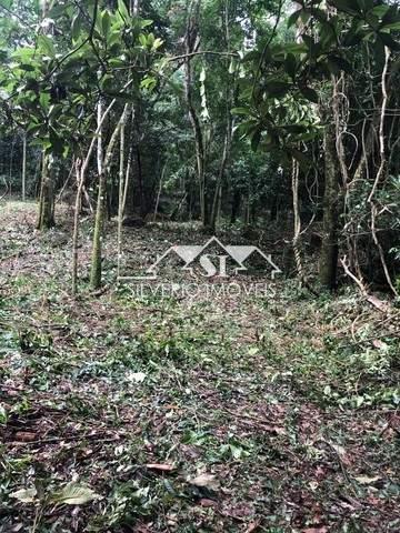 Terreno Residencial à venda em Itaipava, Petrópolis - RJ - Foto 10