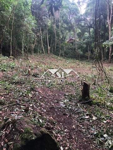 Terreno Residencial à venda em Itaipava, Petrópolis - RJ - Foto 12