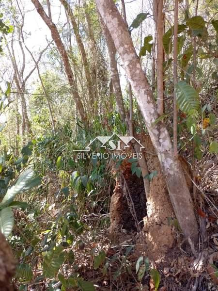 Terreno Residencial à venda em Corrêas, Petrópolis - RJ - Foto 2