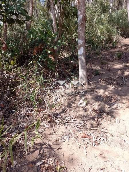 Terreno Residencial à venda em Corrêas, Petrópolis - RJ - Foto 3