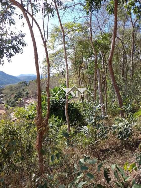 Terreno à venda, 4250m² - Foto 4