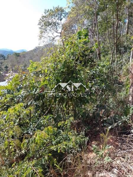 Terreno Residencial à venda em Corrêas, Petrópolis - RJ - Foto 10