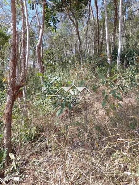 Terreno Residencial à venda em Corrêas, Petrópolis - RJ - Foto 11