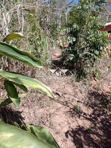 Terreno Residencial à venda em Corrêas, Petrópolis - RJ - Foto 15