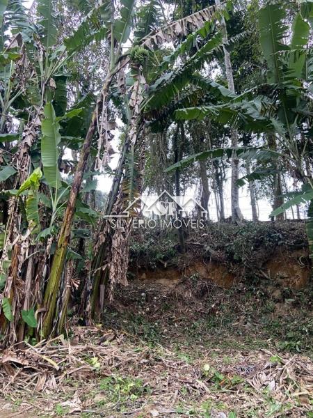 Terreno Residencial à venda em Alto da Serra, Petrópolis - RJ - Foto 12