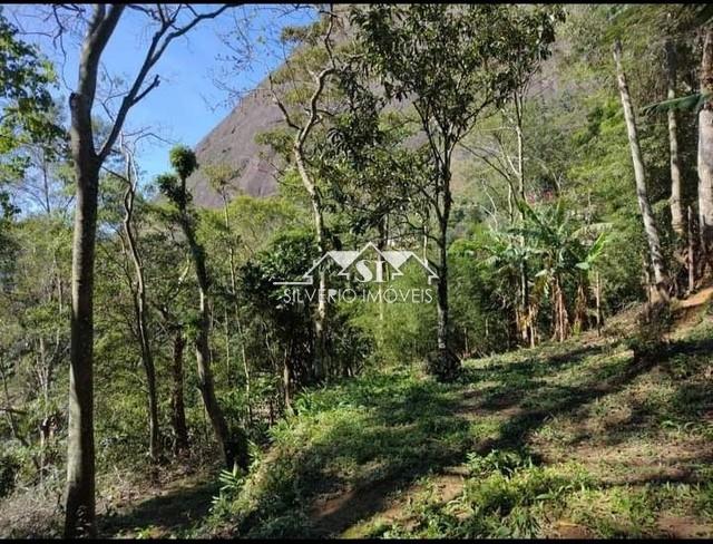 Terreno Residencial à venda em Retiro, Petrópolis - RJ - Foto 7