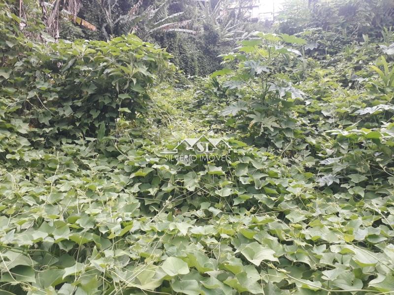 Terreno Residencial à venda em Quitandinha, Petrópolis - RJ - Foto 14