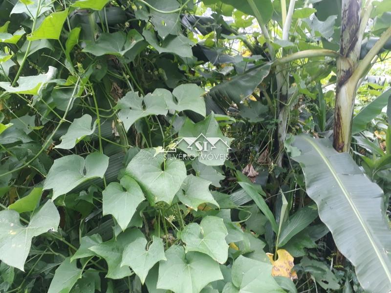 Terreno Residencial à venda em Quitandinha, Petrópolis - RJ - Foto 19