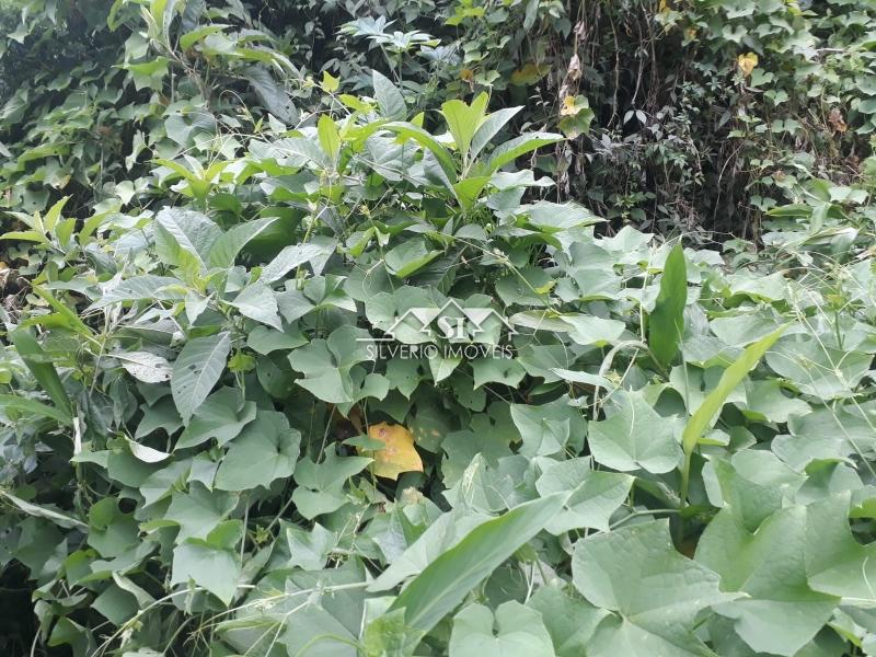 Terreno Residencial à venda em Quitandinha, Petrópolis - RJ - Foto 18