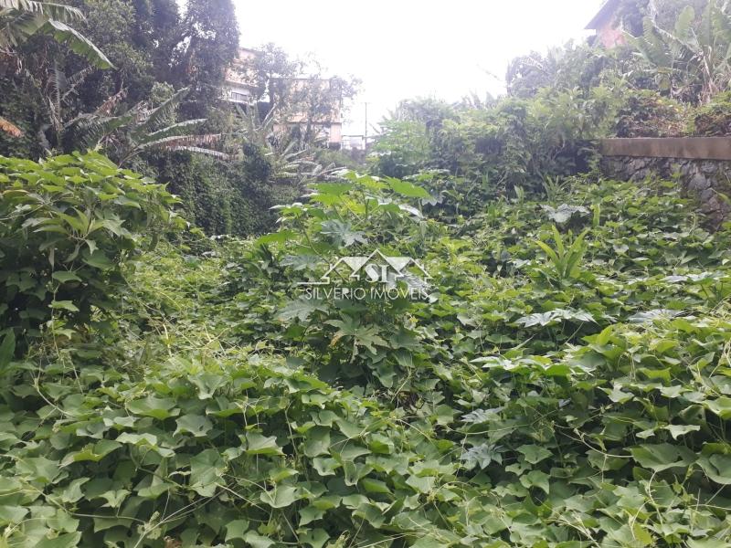 Terreno Residencial à venda em Quitandinha, Petrópolis - RJ - Foto 16