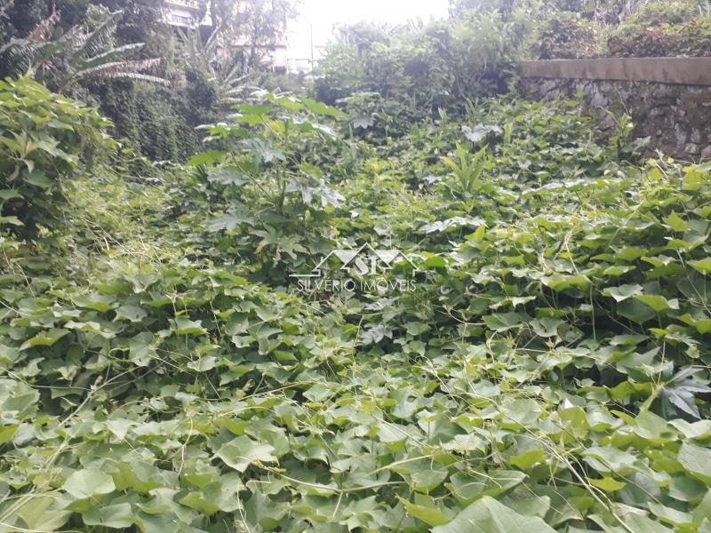Terreno Residencial à venda em Quitandinha, Petrópolis - RJ - Foto 15