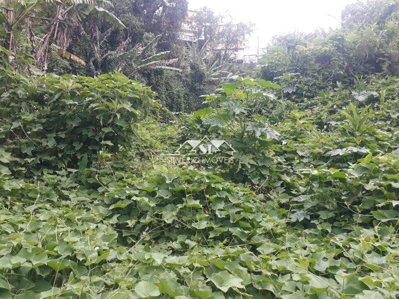 Terreno Residencial à venda em Quitandinha, Petrópolis - RJ - Foto 13