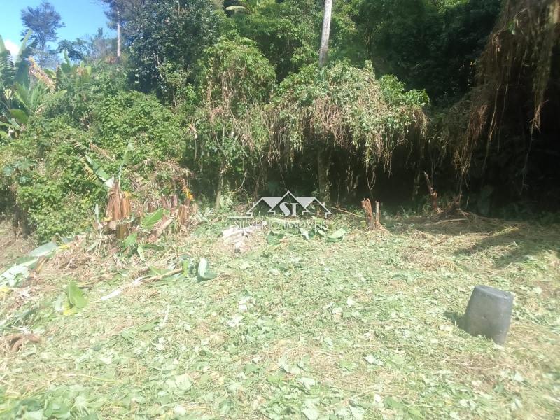 Terreno Residencial à venda em Quitandinha, Petrópolis - RJ - Foto 28