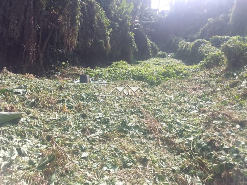 Terreno em Quitandinha - Petrópolis/RJ 