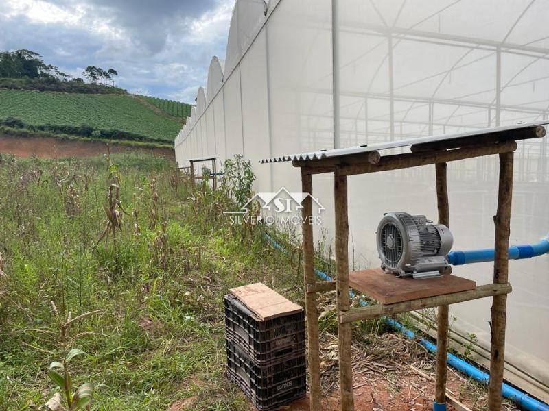 Fazenda / Sítio à venda em Centro, São José do Vale do Rio Preto - RJ - Foto 21