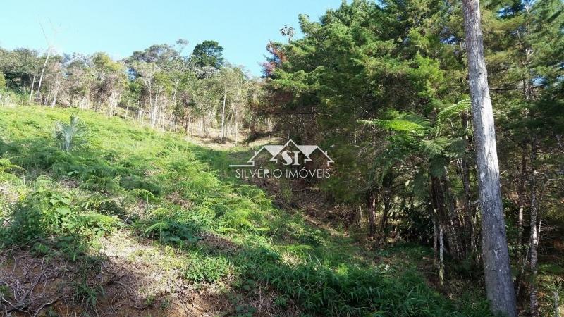 Terreno Residencial à venda em Araras, Petrópolis - RJ - Foto 2
