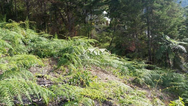 Terreno Residencial à venda em Araras, Petrópolis - RJ - Foto 6