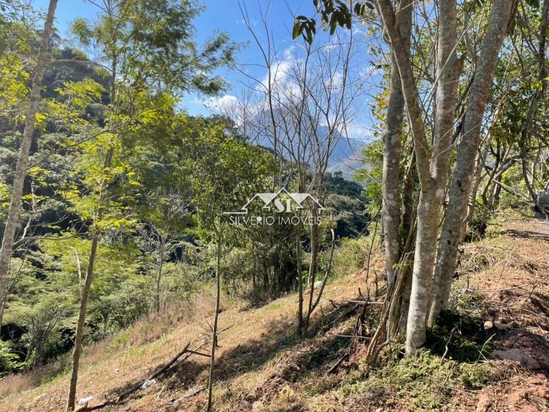 Terreno Residencial à venda em Itaipava, Petrópolis - RJ - Foto 3