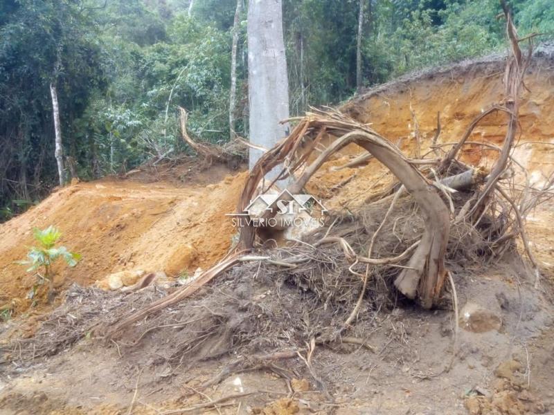Terreno Residencial à venda em Fazenda Inglesa, Petrópolis - RJ - Foto 31