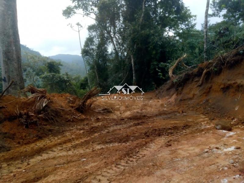 Terreno Residencial à venda em Fazenda Inglesa, Petrópolis - RJ - Foto 13