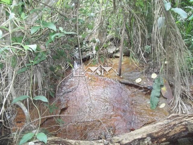 Fazenda / Sítio à venda em Centro, São José do Vale do Rio Preto - RJ - Foto 6