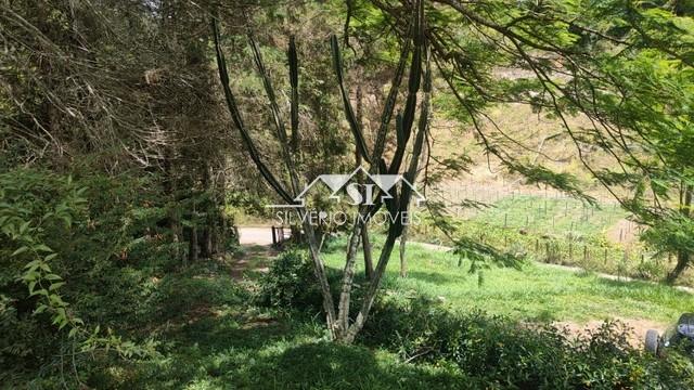 Sítio à venda com 3 quartos, 600000m² - Foto 7