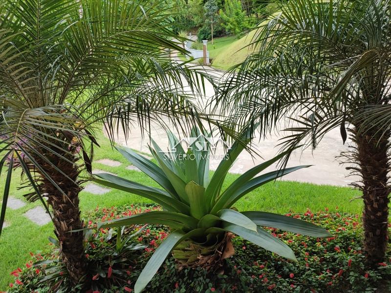 Casa à venda em Secretário, Petrópolis - RJ - Foto 7