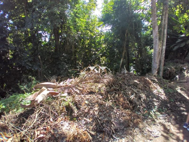 Terreno à venda, 3260m² - Foto 2