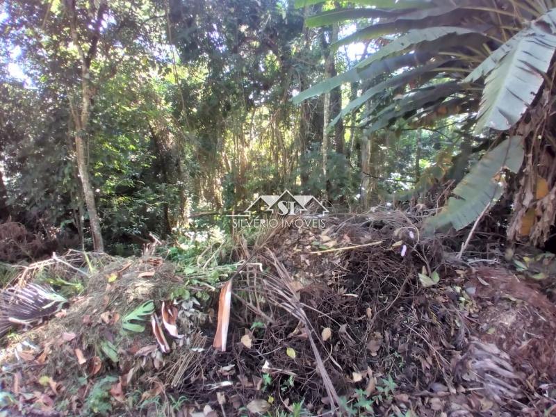 Terreno à venda, 3260m² - Foto 4