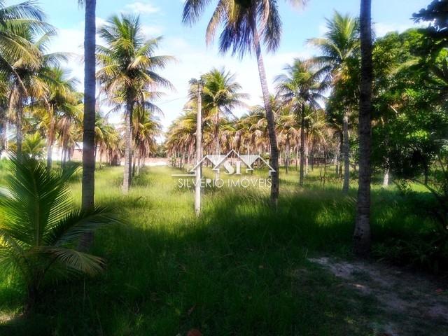 Fazenda / Sítio à venda em Guaratiba, Rio de Janeiro - RJ - Foto 2
